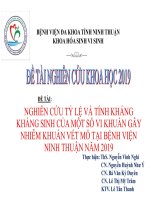 Nghiên cứu tỷ lệ và tính kháng kháng sinh của một số vi khuẩn gây nhiễm khuẩn vết mổ tại Bệnh viện Ninh Thuận năm 2019