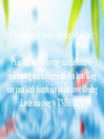 Phân tích sự ảnh hưởng của các nhân tố  môi trường marketing vĩ mô đến hoạt động sản xuất kinh doanh sản phẩm nước khoáng Lavie của công ty TNHH Lavie