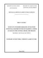 Nghiên cứu loài nấm ký sinh côn trùng có tiềm năng trong phòng chống ve sầu hại cà phê vùng tây nguyên tt tiếng anh 