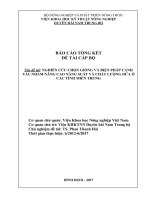 NGHIÊN CỨU CHỌN GIỐNG VÀ BIỆN PHÁP CANH TÁC NHẰM NÂNG CAO NĂNG SUẤT VÀ CHẤT LƯỢNG DỪA Ở CÁC TỈNH MIỀN TRUNG