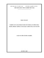 Nghiên cứu loài nấm ký sinh côn trùng có tiềm năng trong phòng chống ve sầu hại cà phê vùng tây nguyên 