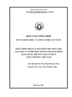 PHÁT TRIỂN DỊCH VỤ BẢO HIỂM PHI NHÂN THỌ TẠI VBI