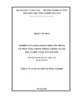 Nghiên cứu loài nấm ký sinh côn trùng có tiềm năng trong phòng chống ve sầu hại cà phê vùng tây nguyên tt 
