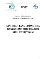 GIẢI PHÁP TĂNG CƯỜNG KHẢ NĂNG CHỐNG CHỊU CỦA NỀN KINH TẾ VIỆT NAM