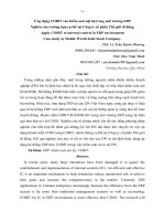 Ứng-dụng-COBIT-vào-KSNB-trong-ERP.MWG