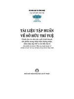 20 Tài liệu tập huấn về sở hữu trí tuệ - Dành cho các nhà sản xuất, kinh doanh sản phẩm mang nhãn hiệu chứng nhận, nhãn hiệu tập thể và chỉ dẫn địa lý