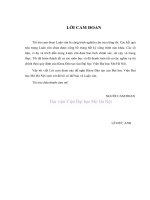 Bình đẳng giới trong pháp luật lao động việt nam  