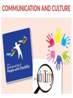 English 11 communication and culture 