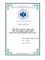 BÁO CÁO KIẾN TẬP NHÀ MÁY YAKULT  BIBICA MIỀN ĐÔNG  BIA HENEKEN