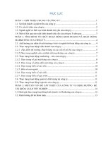 Báo cáo thực tập khoa Marketing CÔNG TY cổ PHẦN tư vấn CHẤT LƯỢNG – THƯƠNG HIỆU  TRUYỀN THÔNG VIỆT NAM  