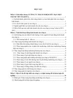 Báo cáo thực tập khoa Marketing CÔNG TY TRÁCH NHIỆM hữu hạn một THÀNH VIÊN MAIZOTA 