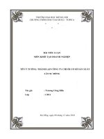 BÀI TIỂU LUẬN MÔN KHỞI TẠO DOANH QT410