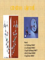 Bài tập nhóm 8 chương hóa lập thể