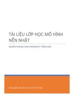 Tài liệu lớp học mô hình nến Nhật (Price action)