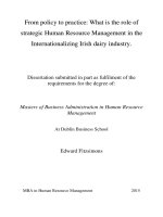 From policy to practice   what is the role of strategic human resource management in the intern 