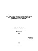The role of big data in finnish companies and the implications of big data on management accounting 