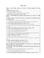 Báo cáo thực tập khoa Marketing Công ty trách nhiệm hữu hạn ( TNHH )VJCO 