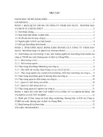 Báo cáo thực tập khoa Marketing Công ty TNHH sản xuất, thương mại và dich vụ chung phát 