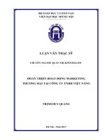 Hoàn thiện hoạt động marketing thương mại tại công ty TNHH việt năng  