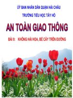 ATGT lớp 1 Bài 9 Không hái hoa bẻ cành cây trên trường