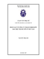 Pháp luật về công ty trách nhiệm hữu hạn một thành viên ở việt nam   
