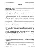 Báo cáo thực tập Kế toán tại Công ty cổ phần khoáng sản VNS Việt Nam 