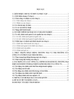 Báo cáo thực tập Kinh tế Luật tại Công ty cổ phần sao thái dương  