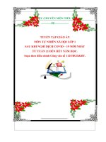 TUYỂN TẬP GIÁO ÁN  MÔN TỰ NHIÊN XÃ HỘI LỚP 1  SAU KHI NGHỈ DỊCH COVID – 19 MỚI NHẤT TỪ TUẦN 21 ĐẾN HẾT NĂM HỌC. Soạn theo điều chỉnh Công văn số 1125BGDĐT.