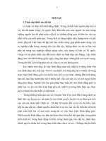 DE CUONG LUẬN văn   vai trò của hội liên hiệp phụ nữ xã, thị trấn ở huyện tân yên, tỉnh bắc giang trong thực hiện bình đẳng giới hiện nay