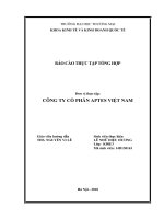 Báo cáo thực tập Khoa kinh doanh quốc tế tại CÔNG TY cổ PHẦN APTES VIỆT NAM 