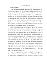 tiểu luận chính trị học tìm hiểu về quyền lực nhà nước nhật bản  tiểu luận cao học