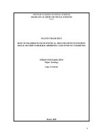 Vai trò của các tổ chức chính trị   xã hội cấp cơ sở trong việc đảm bảo an sinh xã hội cho cư dân nông thôn nghiên cứu trường hợp tại 2 xã  tt tiếng anh 