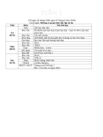 GIÁO ÁN LỚP 1 THEO ĐỊNH HƯỚNG PHÁT TRIỂN NĂNG LỰC MỚI NHẤT