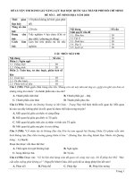 ĐỀ LUYỆN THI ĐÁNH GIÁ NĂNG LỰC ĐẠI HỌC QUỐC GIA THÀNH PHỐ HỒ CHÍ MINH - ĐỀ SỐ 2