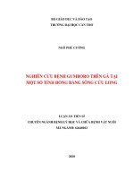 Nghiên cứu bệnh Cumboro trên gà tại một số tỉnh Đồng bằng sông Cửu Long (Luận án tiến sĩ)