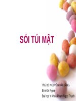 BÀI GIẢNG SỎI TÚI MẬT
