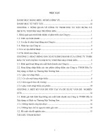 Báo cáo thực tập Khoa kinh doanh quốc tế tại Công ty TNHH đầu tư xây dựng và dịch vụ thương mại Trường Sơn  