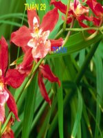 Bài các số từ 111 đến 200