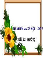 Trường học Tự nhiên  Xã hội lớp 2