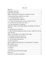 Báo cáo thực tập khoa Tài chính ngân hàng tại CÔNG TY cổ PHẦN VINA SLC 