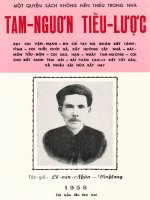 Tam ngươn tiểu lược 