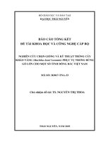 NGHIÊN CỨU CHỌN GIỐNG VÀ KỸ THUẬT TRỒNG CÂY KHÁO VÀNG (Machilus bonii Lecomte) PHỤC VỤ TRỒNG RỪNG GỖ LỚN CHO MỘT SỐ TỈNH ĐÔNG BẮC VIỆT NAM