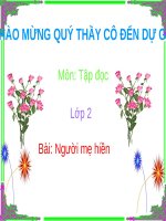 Tập đọc Người mẹ hiền Tiếng Việt lớp 2 tuần 8