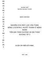 Nghiên cứu mức lọc cầu thận bằng cystatin c huyết thanh ở bệnh nhân tiền đái tháo đường và đái tháo đường típ 2 