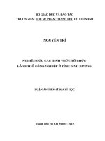 Nghiên cứu các hình thức tổ chức lãnh thổ công nghiệp ở tỉnh bình dương 