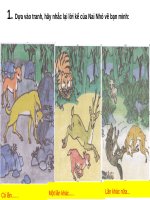 Kể chuyện Bạn của nai nhỏ Tiếng Việt lớp 2 Tuần 3