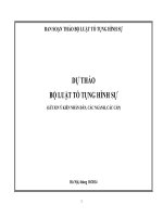 DỰ THẢO BỘ LUẬT TỐ TỤNG HÌNH SỰ(GỬI XIN Ý KIẾN NHÂN DÂN, CÁC NGÀNH, CÁC CẤP)
