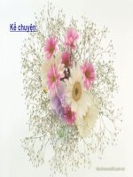 Kể chuyện Sự tích cây vú sữa Tiếng Việt lớp 2 tuần 12