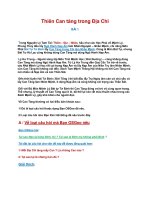 Thiên can tàng trong địa chi  kho tài liệu huyền học 