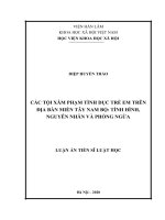 Các tội xâm phạm tình dục trẻ em trên địa bàn miền tây nam bộ tình hình, nguyên nhân và phòng ngừa 
